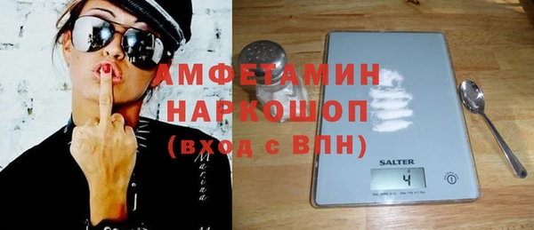 гидра Краснослободск