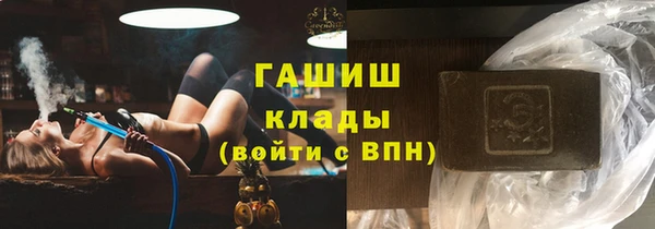 гидра Краснослободск