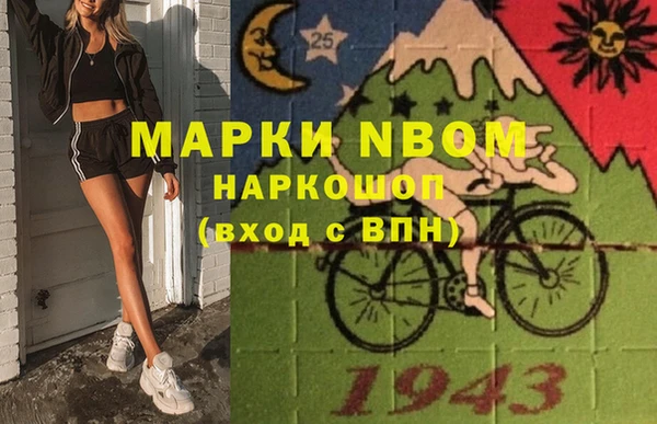 гидра Краснослободск