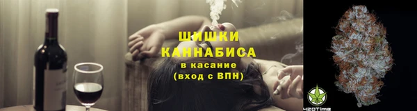гидра Краснослободск