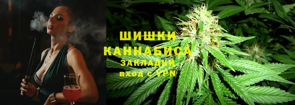 гидра Краснослободск